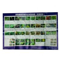 [N]蔬菜病害诊断手记系列挂图(瓜类蔬菜)-161095789
