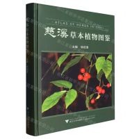 [N]慈溪草本植物图鉴(精)-9787308233620