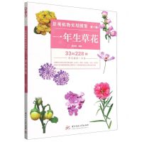 [N]一年生草花/景观植物实用图鉴-9787568041089