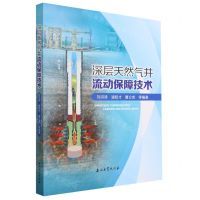 [N]深层天然气井流动保障技术-9787518357642
