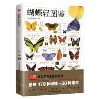 [N]蝴蝶轻图鉴-9787571334789