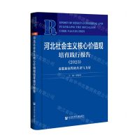 [N]河北社会主义核心价值观培育践行报告(2023奋进新征程的共识与力量)-9787522816180