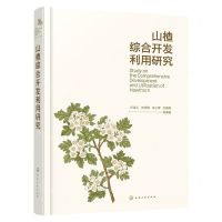 [N]山楂综合开发利用研究(精)-9787122425768