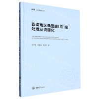[N]西南地区典型固<危>废处理及资源化(精)/弘深科学技术文库-9787568938181