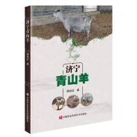 [N]济宁青山羊-9787511662163