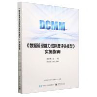 [N]数据管理能力成熟度评估模型实施指南-9787121428388