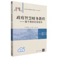 [N]政府智慧财务教程--基于博思财务软件(21世纪经济管理新形态教材)/会计学系列-9787302635192