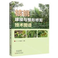 [N]核桃嫁接与整形修剪技术图谱-9787572511820