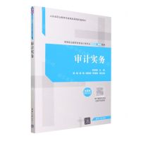 [N]审计实务(微课版高等职业教育财务会计类专业新形态一体化教材)-9787302629900