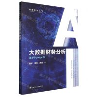 [N]大数据财务分析(基于Power BI)/智能财会丛书-9787300314228