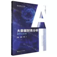 [N]大数据财务分析(基于Power BI)/智能财会丛书-9787300314228