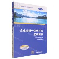 [N]企业业财一体化平台实训教程(微课版高等院校财经类专业新形态教材)-9787302636809