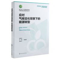[N]应对气候变化背景下的能源转型(精)/碳中和下中国能源转型与煤炭清洁高效利用丛书-9787122432223