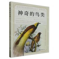 [N]神奇的鸟类(第2版)-9787568938617