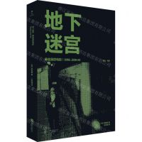 [N]地下迷宫(奉俊昊的电影)/雅众电影-9787559668066