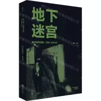 [N]地下迷宫(奉俊昊的电影)/雅众电影-9787559668066