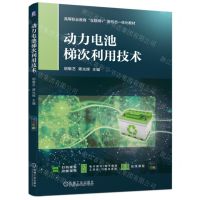 [N]动力电池梯次利用技术(四色印刷高等职业教育互联网+新形态一体化教材)-9787111730590