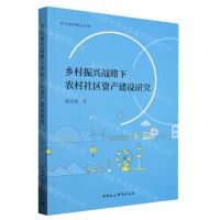 [N]乡村振兴战略下农村社区资产建设研究/社会福利研究系列-9787522720227