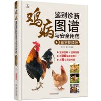 [N]鸡病鉴别诊断图谱与安全用药(铂金视频版)(精)-9787111733829