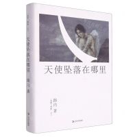 [N]天使坠落在哪里(精)/追随三部曲-9787532181735