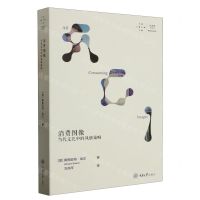 [N]消费图像(当代文化中的风格策略)/拜德雅视觉文化丛书-9787568938945