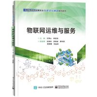 [N]物联网运维与服务(物联网技术应用专业岗课赛证融通系列教材)-9787121461385