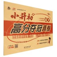 [N]语文(升级版)/小升初高分夺冠真卷-9787544571623