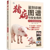[N]猪病鉴别诊断图谱与安全用药(铂金视频版)(精)-9787111735564