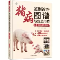 [N]猪病鉴别诊断图谱与安全用药(铂金视频版)(精)-9787111735564