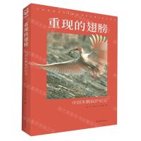 [N]重现的翅膀(中国朱鹮保护纪实)-9787554165645