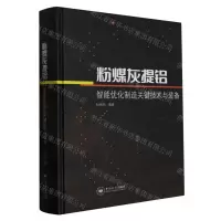 [N]粉煤灰提铝智能优化制造关键技术与装备(精)-9787548753865