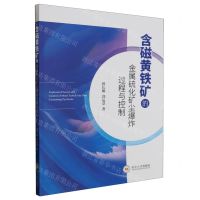 [N]含磁黄铁矿的金属硫化矿尘爆炸过程与控制-9787548752523