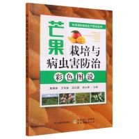 [N]芒果栽培与病虫害防治彩色图说/热带果树高效生产技术丛书-9787109309531