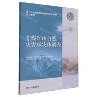 [N]非煤矿山自然灾害承灾体调查(第一次全国自然灾害综合风险普查培训教材)-9787502091477