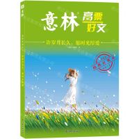 [N]意林高票好文(许岁月长久愿时光厚爱经典收藏本)-9787549857906