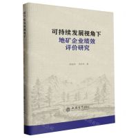 [N]可持续发展视角下地矿企业绩效评价研究(精)-9787542972019