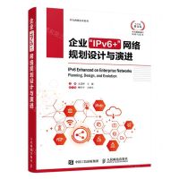 [N]企业IPv6+网络规划设计与演进/华为网络技术系列-9787115621733