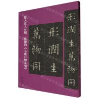 [N]欧阳询九成宫醴泉铭(原大放大对照)/书法入门必学碑帖-9787540162665