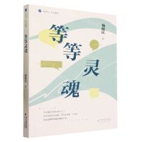 [N]等等灵魂/海岸线美文典藏-9787555033837