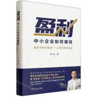 [N]盈利(中小企业如何赚钱盈利系统方案版运营系统浓缩版)(精)-9787511155726