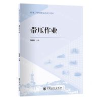 [N]带压作业(石油工程技能培训系列教材)-9787511472113