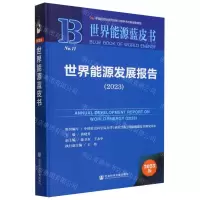 [N]世界能源发展报告(2023)(精)/世界能源蓝皮书-9787522825625