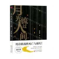 [N]月光流过人间-9787530685327