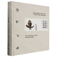 [N]云南民族工艺美术(精)/云南民族记忆书系-9787222213500