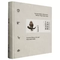 [N]云南民族工艺美术(精)/云南民族记忆书系-9787222213500