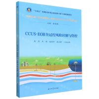 [N]CCUS-EOR全过程风险识别与管控/中国石油二氧化碳捕集利用与封存CCUS技术丛书-9787518360031