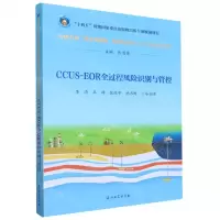 [N]CCUS-EOR全过程风险识别与管控/中国石油二氧化碳捕集利用与封存CCUS技术丛书-9787518360031
