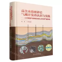 [N]高含水致密砂岩气藏开发再认识与实践--以苏里格气田东区北部上古生界气藏为例(精)-9787518360437