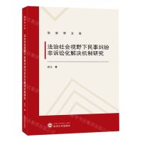[N]法治社会视野下民事纠纷非诉讼化解决机制研究/治安学文库-9787307240162