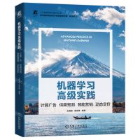 [N]机器学习高级实践(计算广告供需预测智能营销动态定价)/人工智能科学与技术丛书-9787111736547